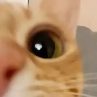 Gen