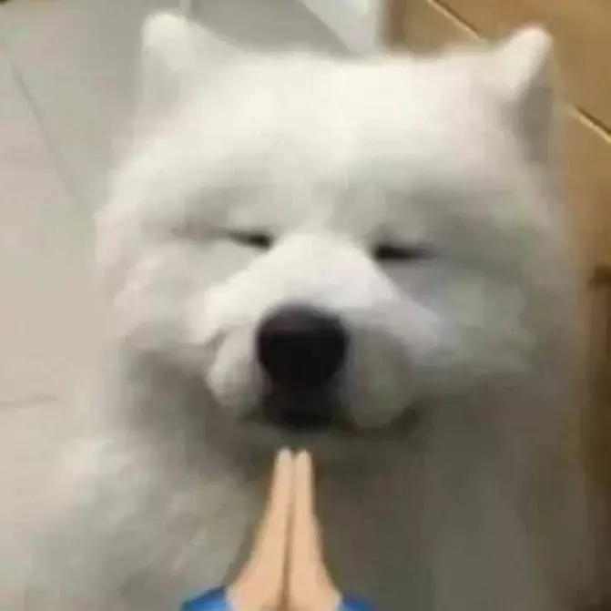 ฮิคารุ