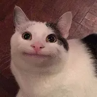 黑子