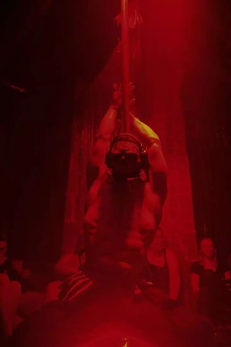 The curator thumbnail