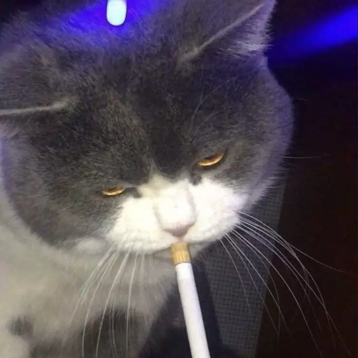 D.