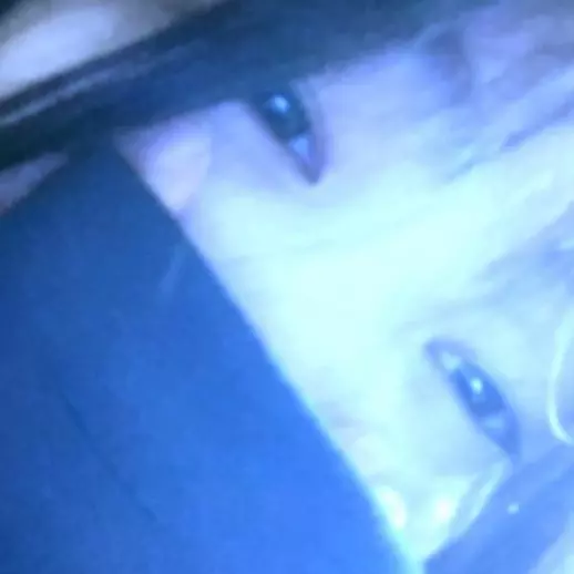  Neko