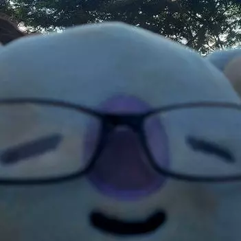 Ari