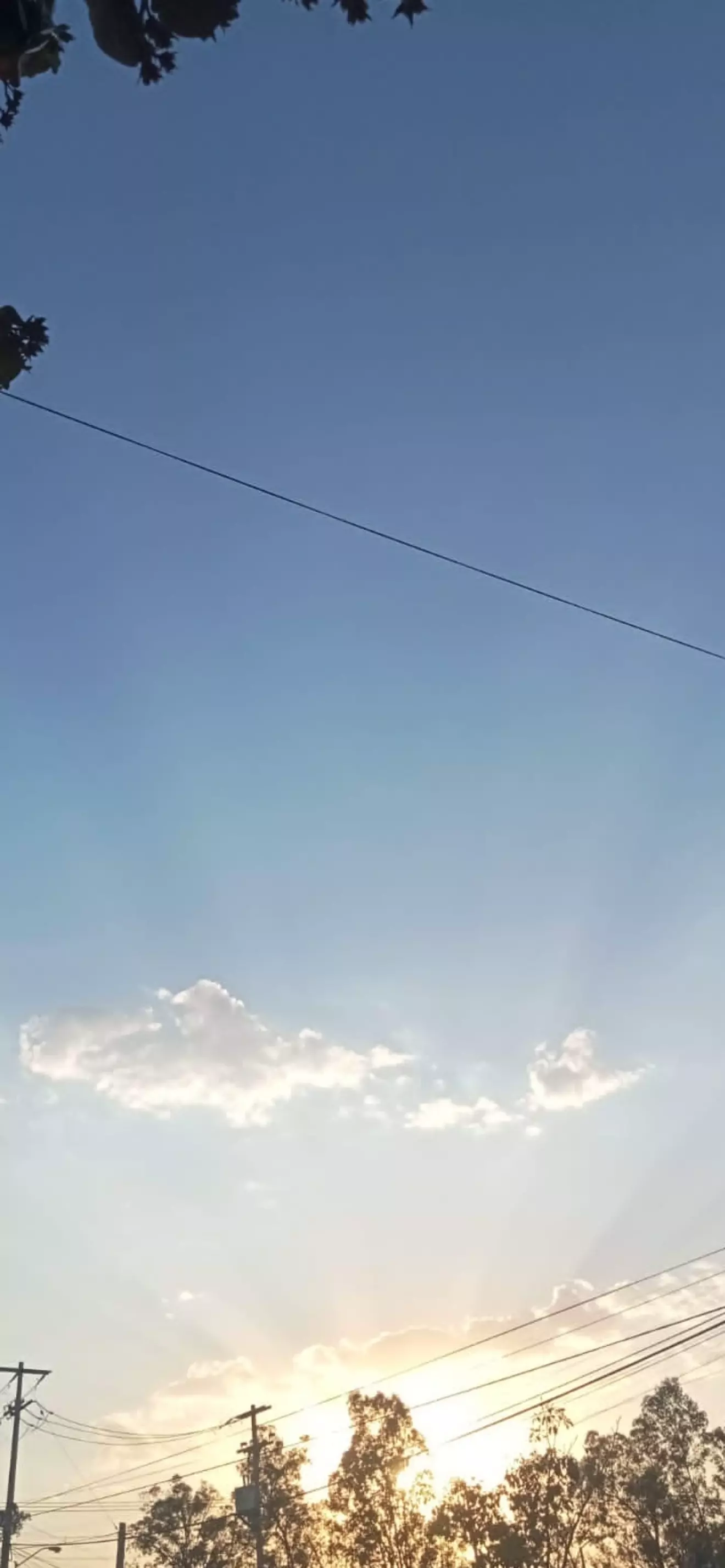 Rosario