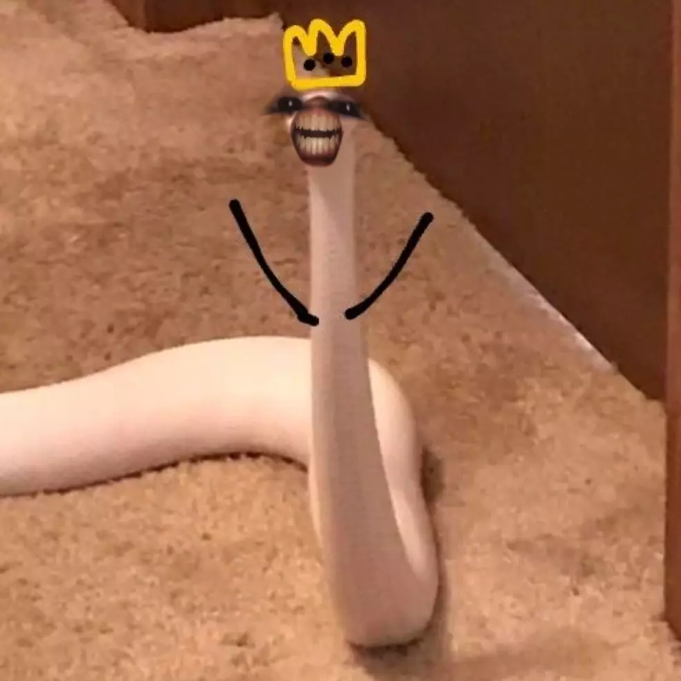 Yun