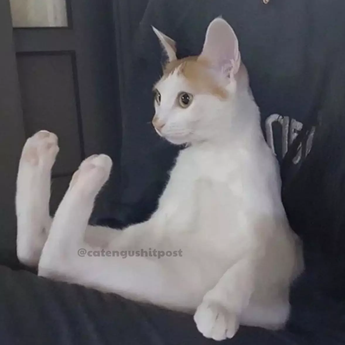 Yuki
