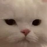 PHETNARINKEAWWANNAWONG