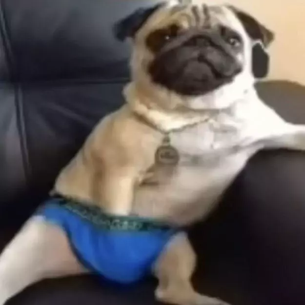 TuSuper Vieja