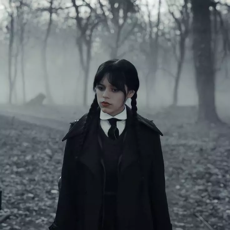 Wednesday Addams  thumbnail