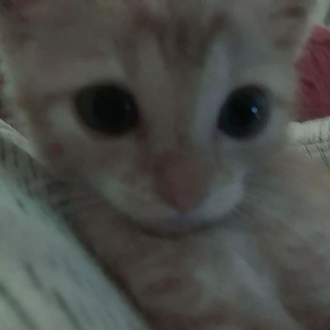 Hanna