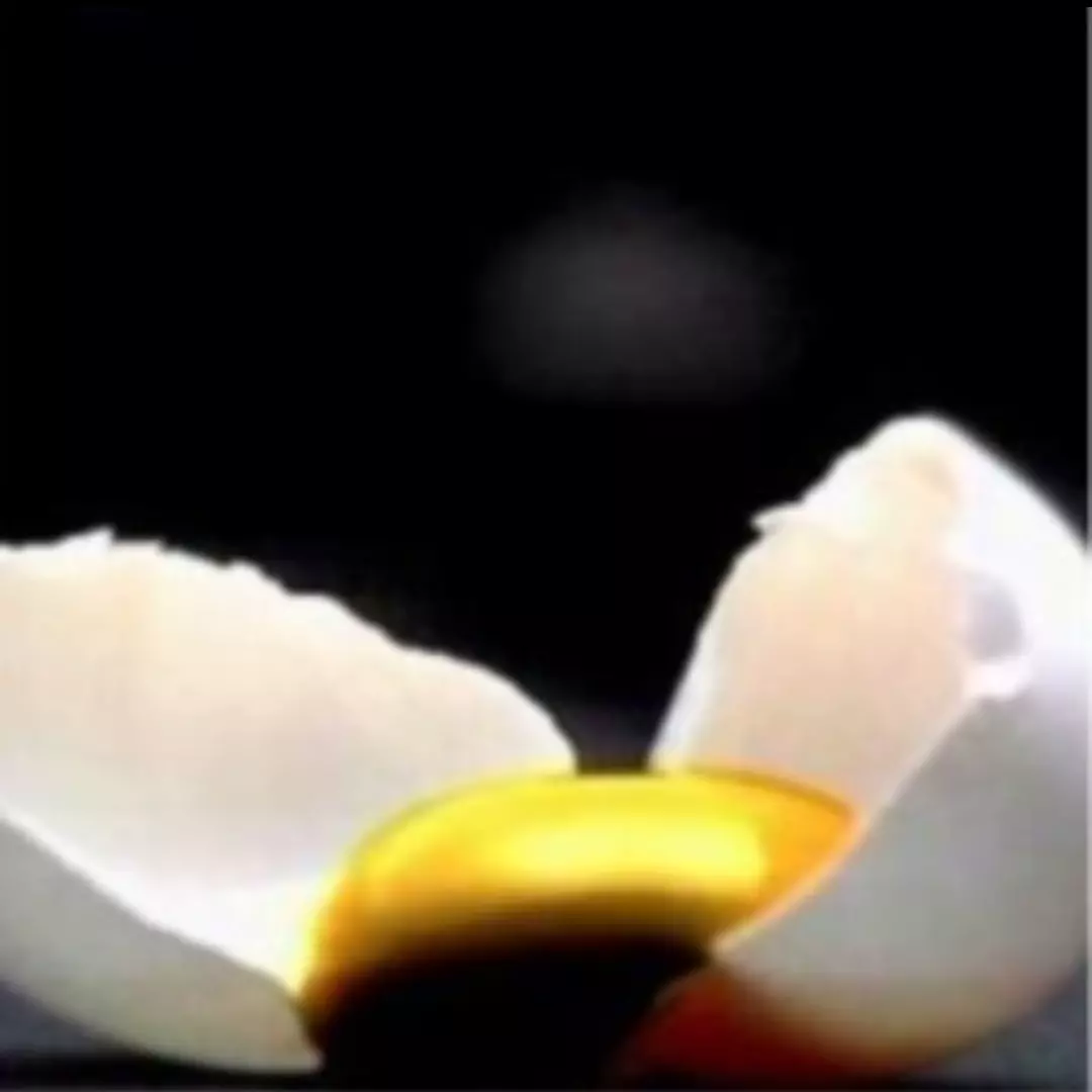 馬爺