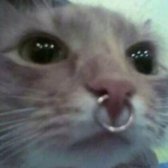̶͍̩̦̣2̨̝͉͎̥̙̥̻̰̻̀͡T̷̩̙̰̬͙͖̱̖̫̟̺̰͢͞ͅ