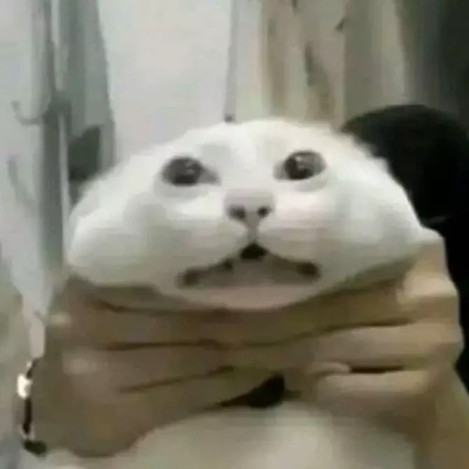 Zhu