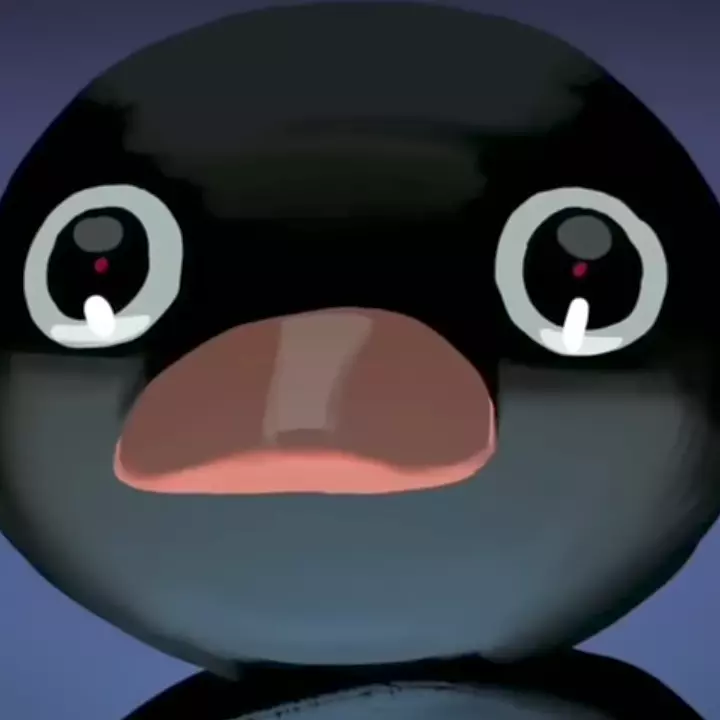 pedro 