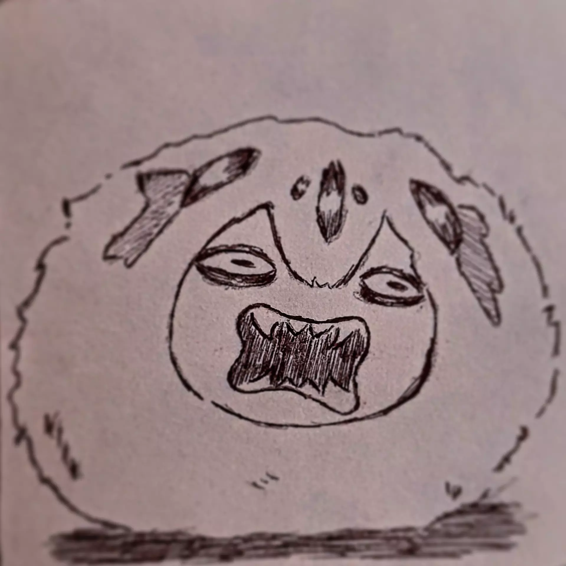 Sassa
