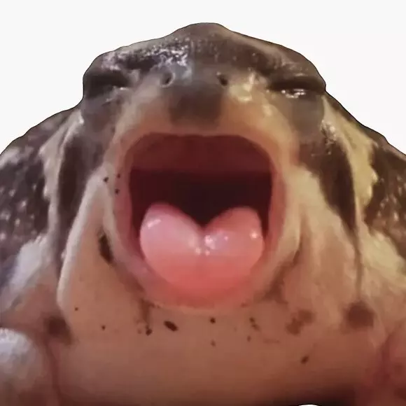Kay