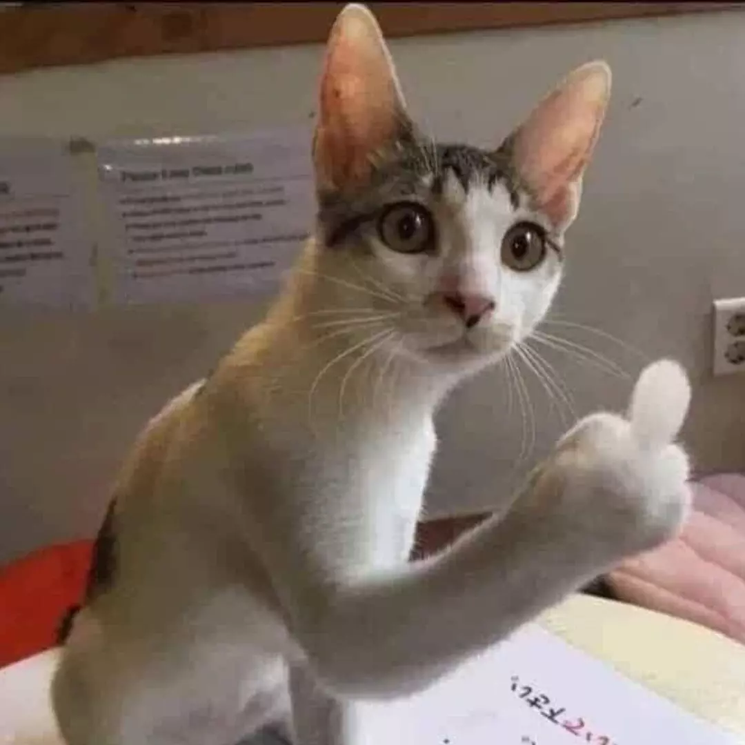 Người tình mùa đôngg