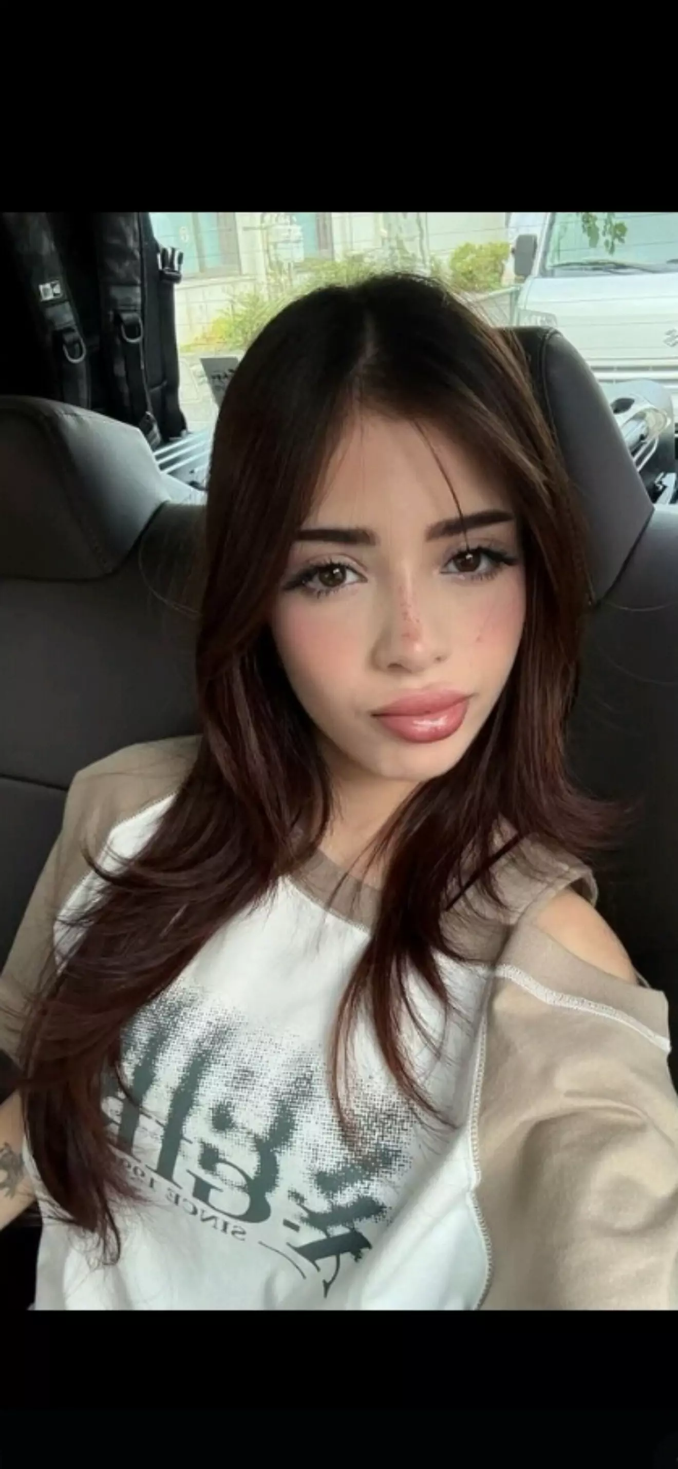 Iamferv