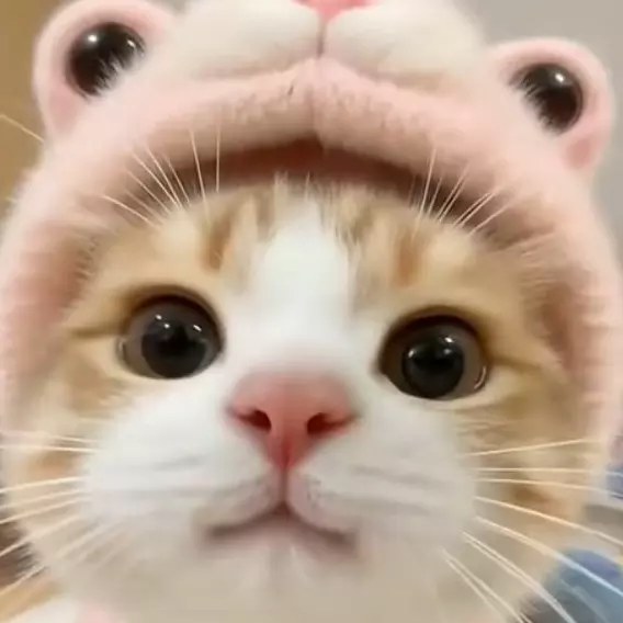 fiona