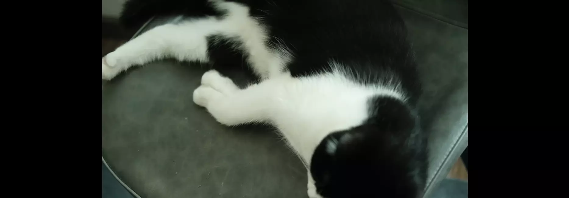  冬天