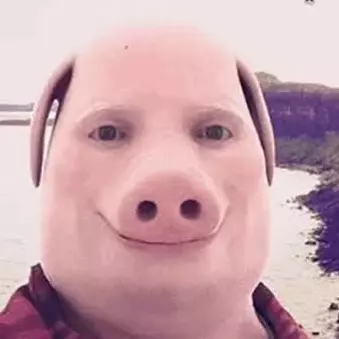 FadoFenix