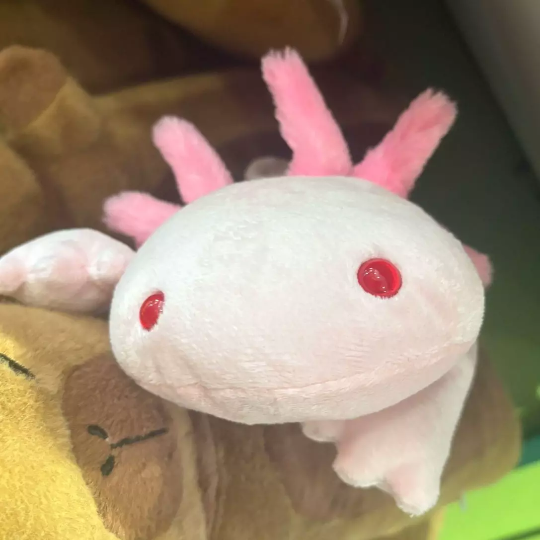 Hiro