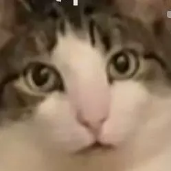 8888888888