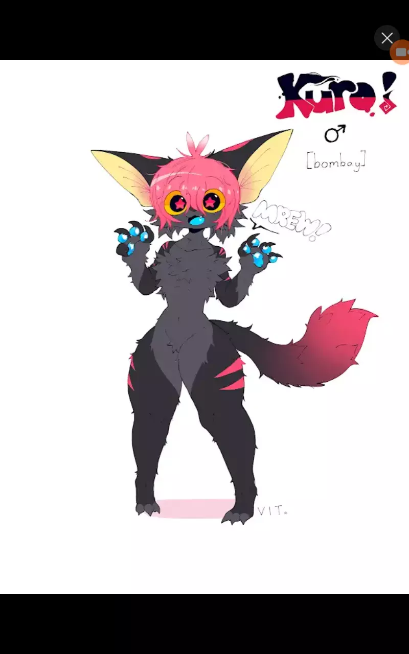 Create Bomboy furry thumbnail