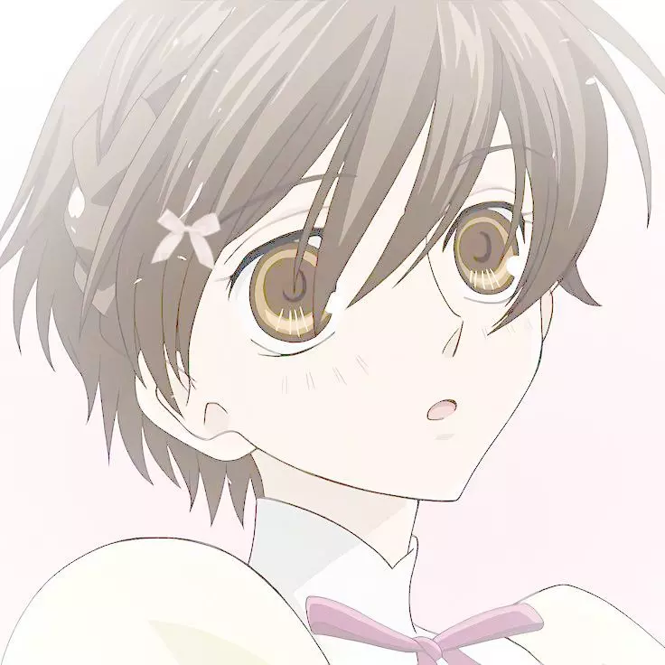 Toko 