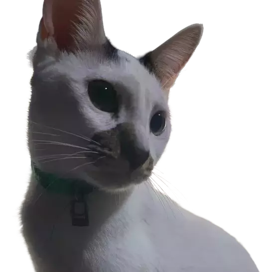 Neo