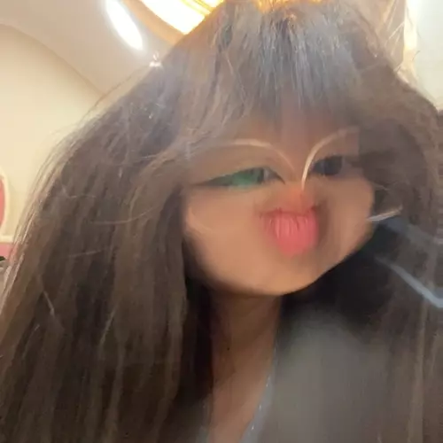 mèo