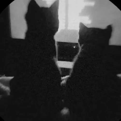 Shadow