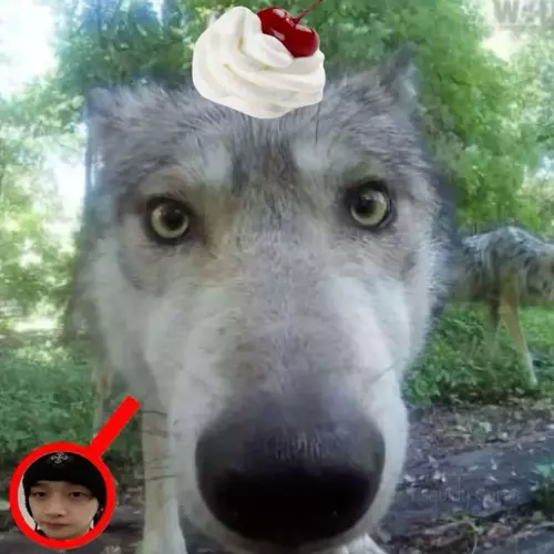 ˎˊ˗:₊˚ʚ