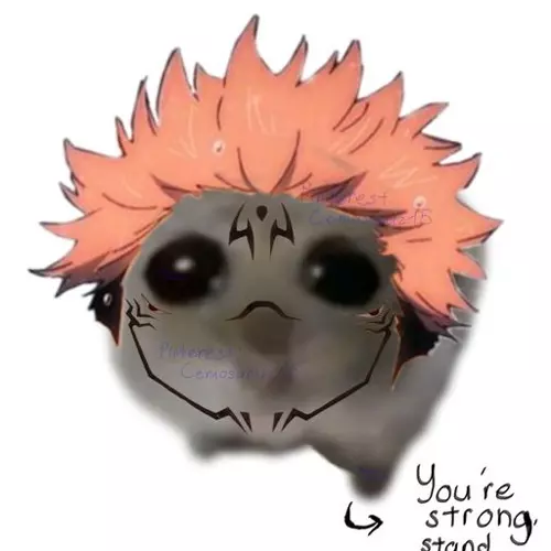 Junko Senkai