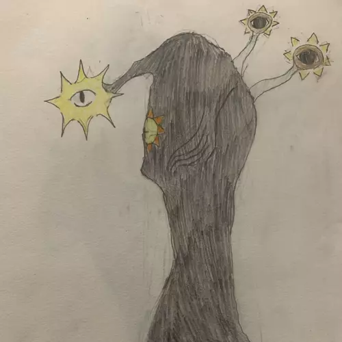 Sunner