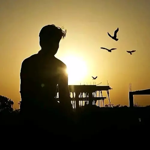 Fenix