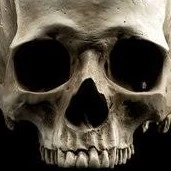 Scull