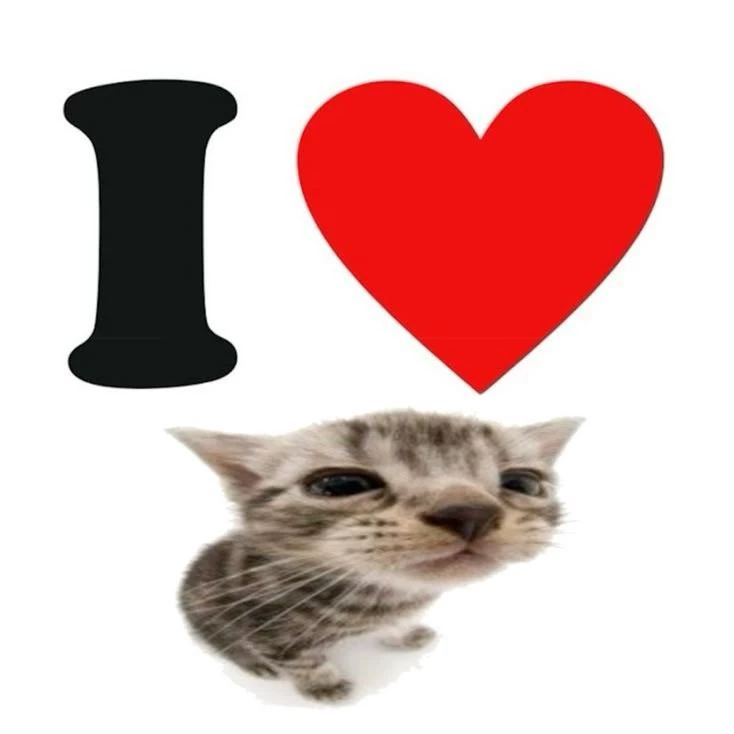 Miyo