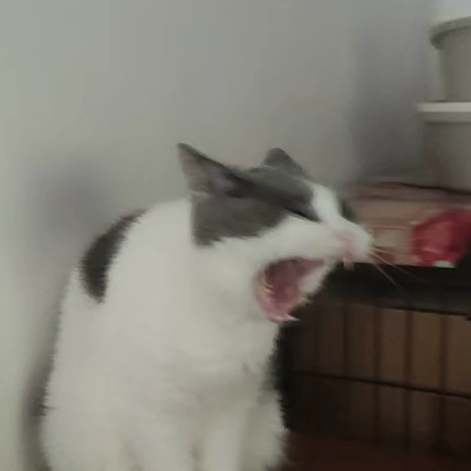 火