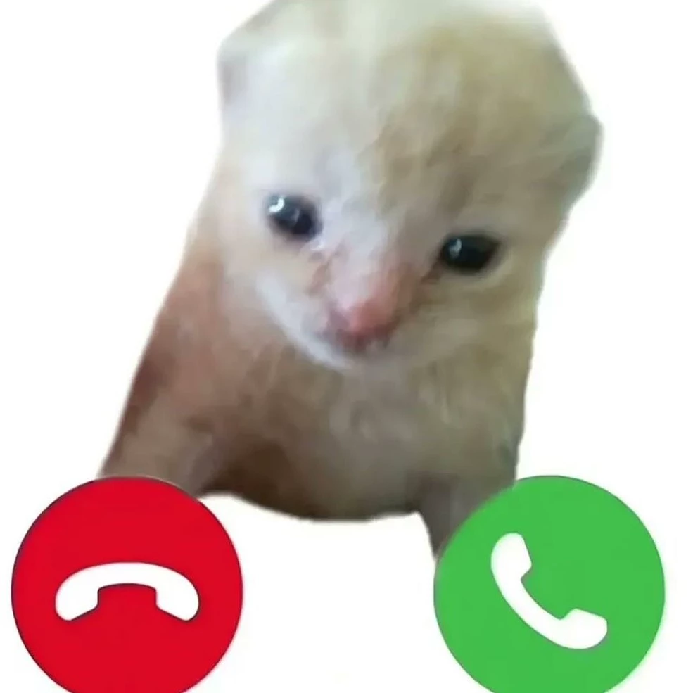 Sammy 