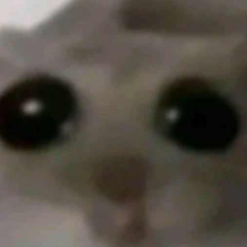 Perla 