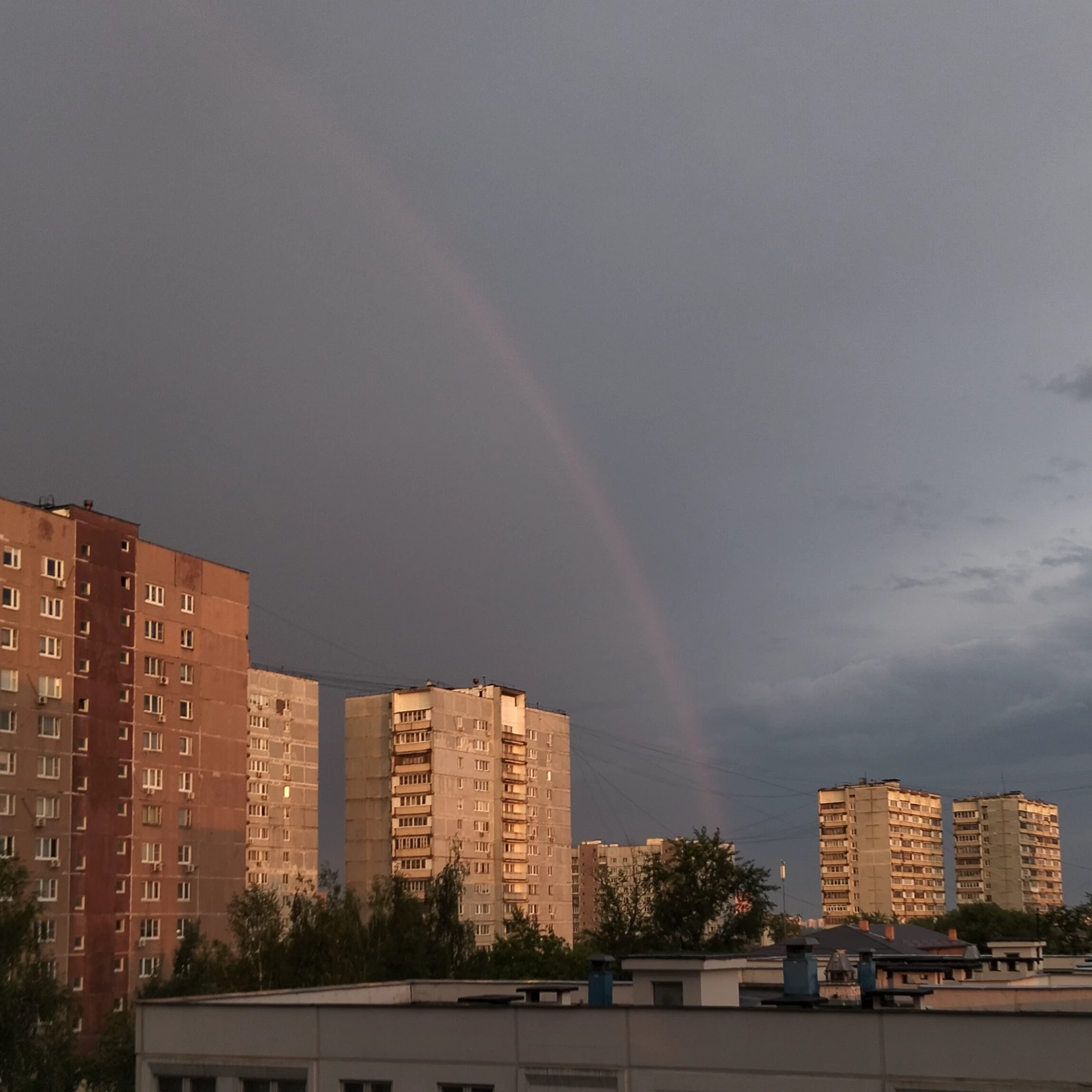 Камелия