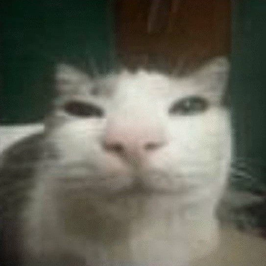 Lynx