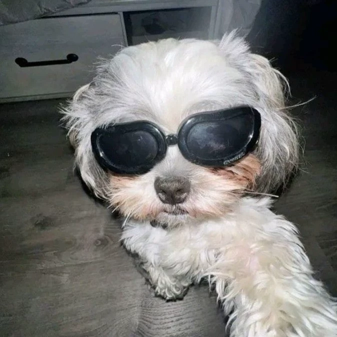 SN