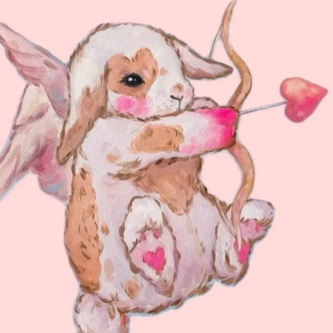 ✨