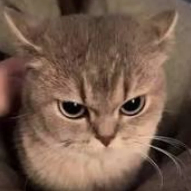 Him