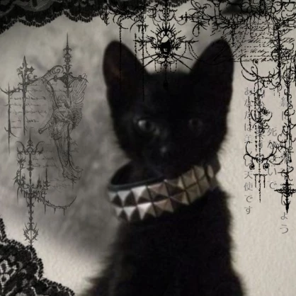 •}{•°_Ghost_•°}{•