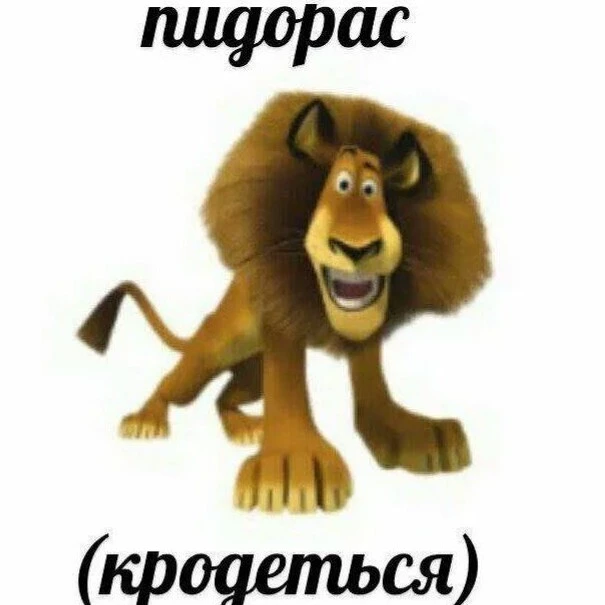 Lolkekcheburek
