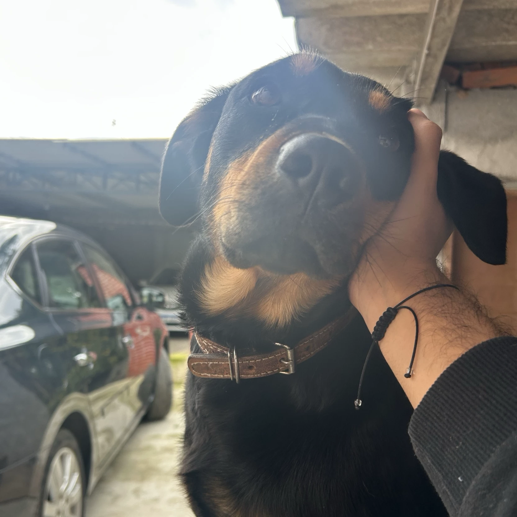 Kimi
