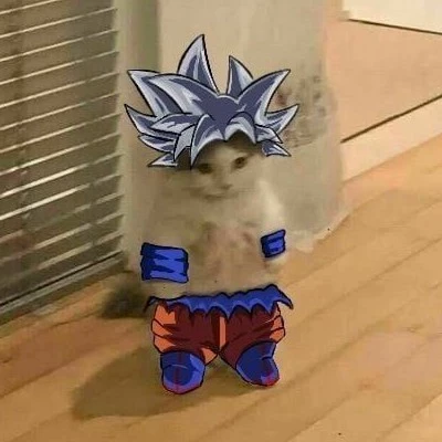 ʟɪᴀᴍ
